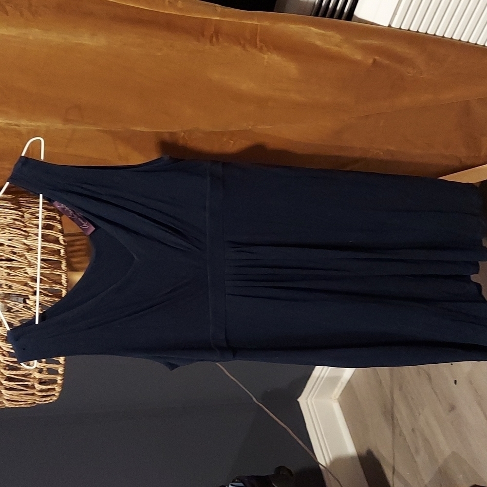 NAVY Gloria Vanderbilt Dress Size PL